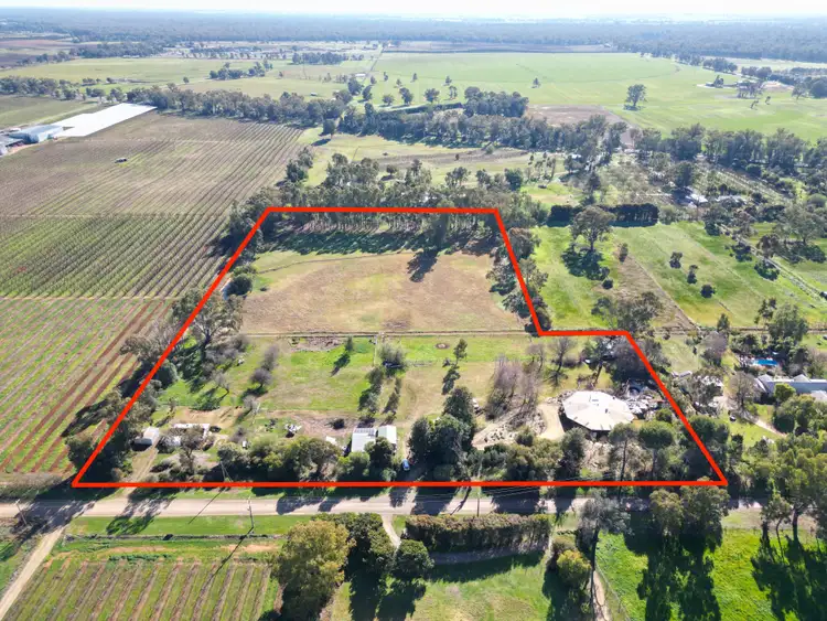 Second view of Homely rural property listing, 781 Healy Rd, Cobram VIC 3644