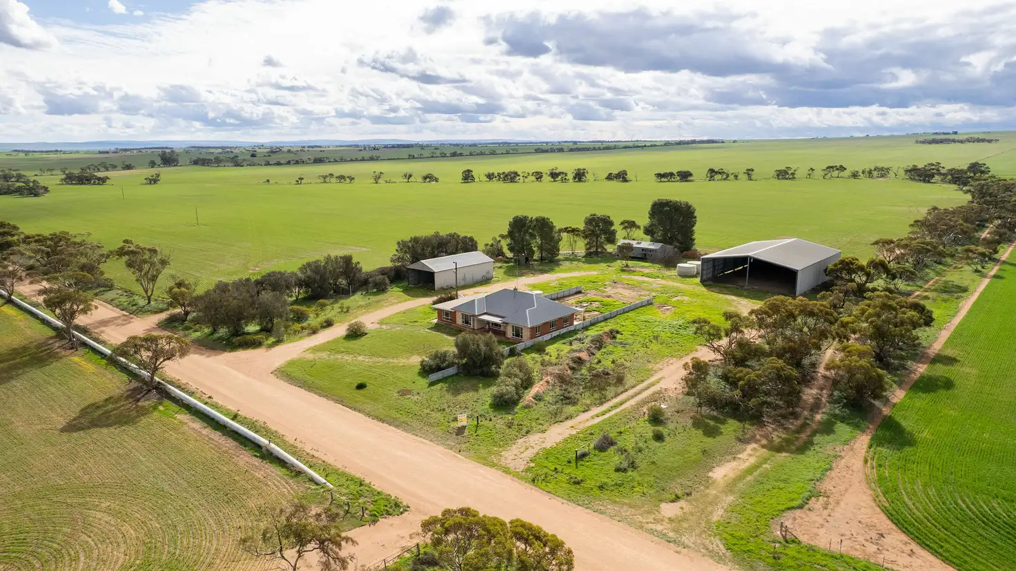 Main view of Homely house listing, 1511 Watchman Rd, Hoyleton SA 5453