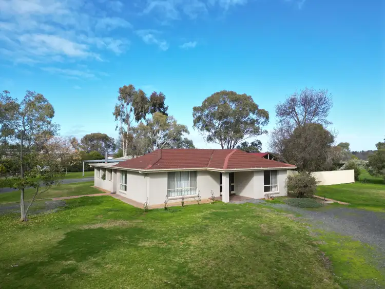 Third view of Homely house listing, 19 Catona Cres, Cobram VIC 3644