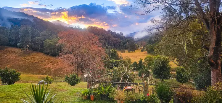 Sixth view of Homely rural property listing, 5155 Taylors Arm Rd, Thumb Creek NSW 2447