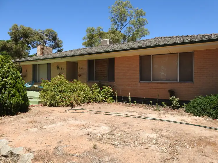 Main view of Homely house listing, 5 Strang St, Tammin WA 6409
