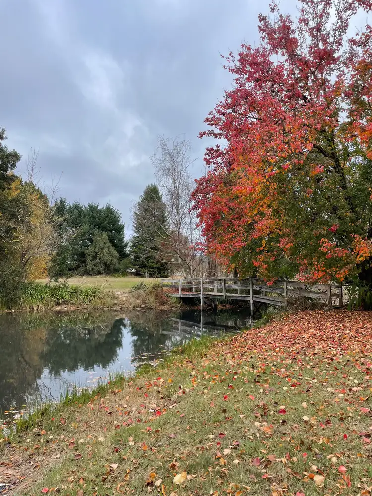 Fifth view of Homely house listing, 478 Nug Nug Road, Nug Nug VIC 3737