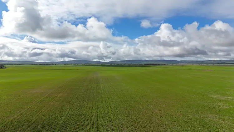 401 Mundoora-Wokurna Rd, Mundoora SA 5555
