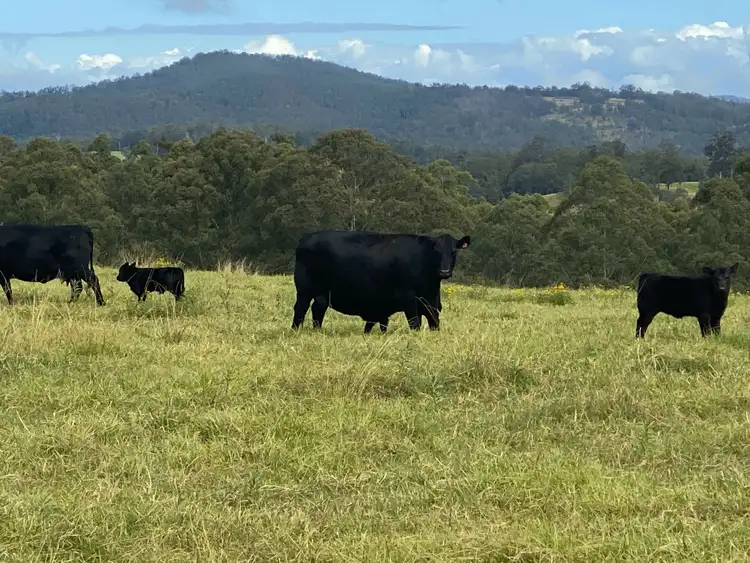 Second view of Homely rural property listing, Address available on request