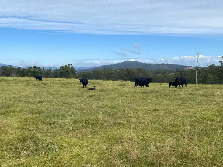 Fourth view of Homely rural property listing, Address available on request