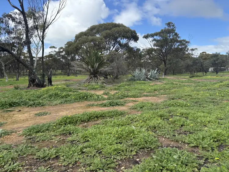3 Scaddan Street, Goomalling WA 6460