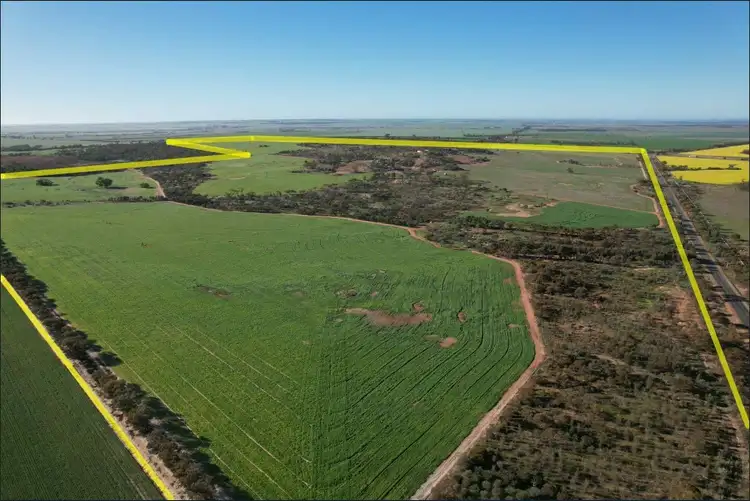 Fifth view of Homely house listing, 1320 Nukarni West Rd, Elabbin WA 6490
