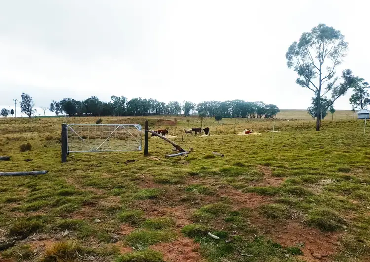 Second view of Homely rural property listing, 22 Cainbill Road, Coolah NSW 2843