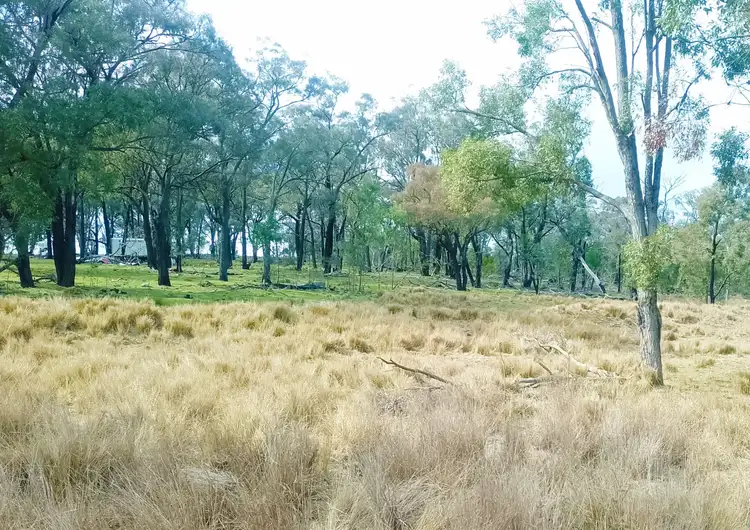 Fourth view of Homely rural property listing, 22 Cainbill Road, Coolah NSW 2843