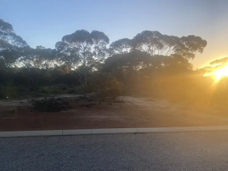 Lot 121 Wilson Street