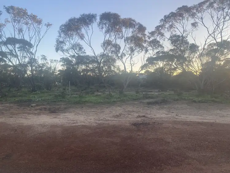 Lot 122 Wilson Street