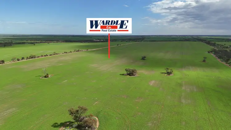 Second view of Homely rural property listing, 110 Rodda Rd, Boors Plain SA 5554