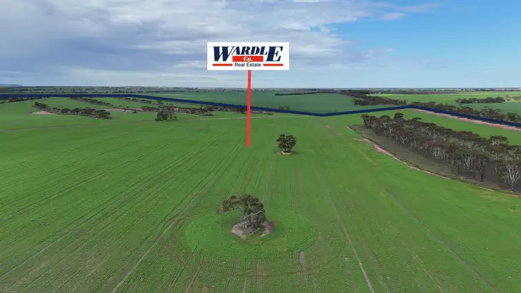 Fourth view of Homely rural property listing, 110 Rodda Rd, Boors Plain SA 5554