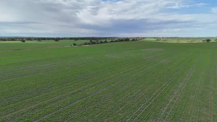 Fifth view of Homely rural property listing, 110 Rodda Rd, Boors Plain SA 5554