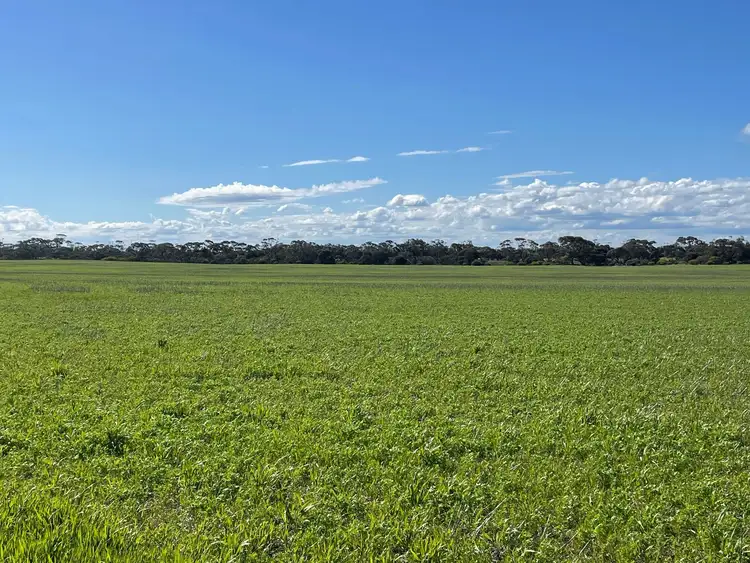 Sixth view of Homely rural property listing, 110 Rodda Rd, Boors Plain SA 5554