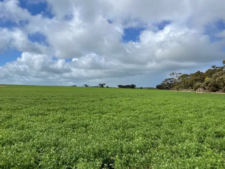 Seventh view of Homely rural property listing, 110 Rodda Rd, Boors Plain SA 5554