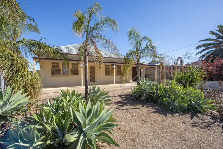 20 Dunkley Street