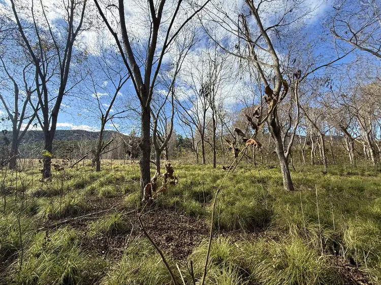 Fourth view of Homely land listing, LOT 1 & 2, 2293 Towamba Rd, Towamba NSW 2550