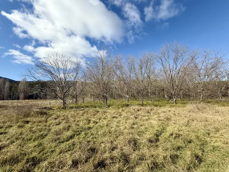 Seventh view of Homely land listing, LOT 1 & 2, 2293 Towamba Rd, Towamba NSW 2550
