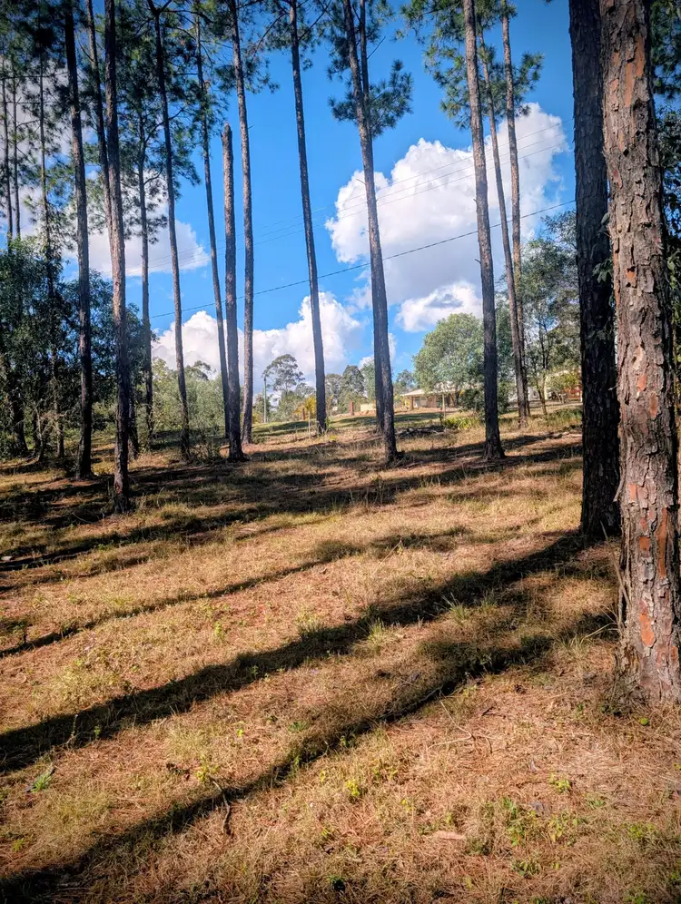 Lot 513 Arborcrescent Road, Glenwood QLD 4570