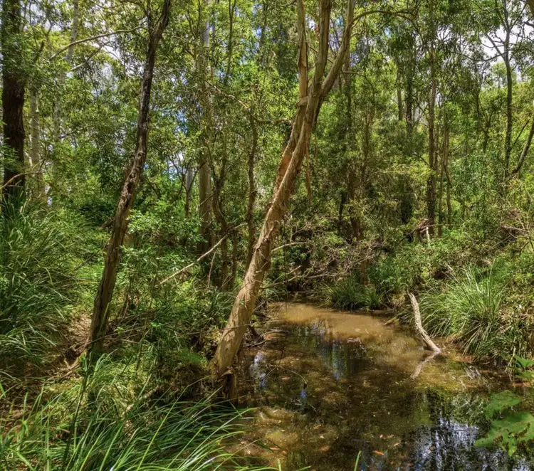 Seventh view of Homely land listing, Lot 513 Arborcrescent Road, Glenwood QLD 4570