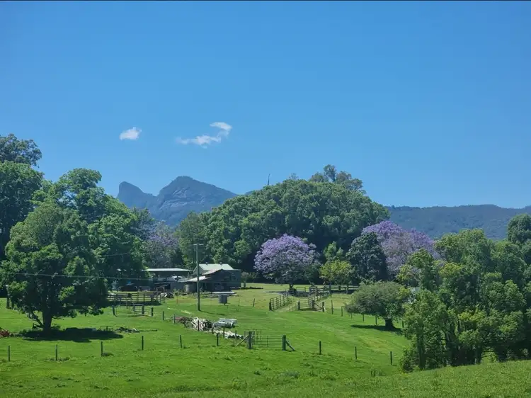 Third view of Homely rural property listing, 30 Larkins Road, Tyalgum NSW 2484