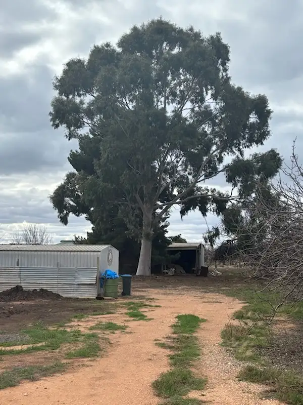 Main view of Homely land listing, 120 Fifth St, Merbein VIC 3505