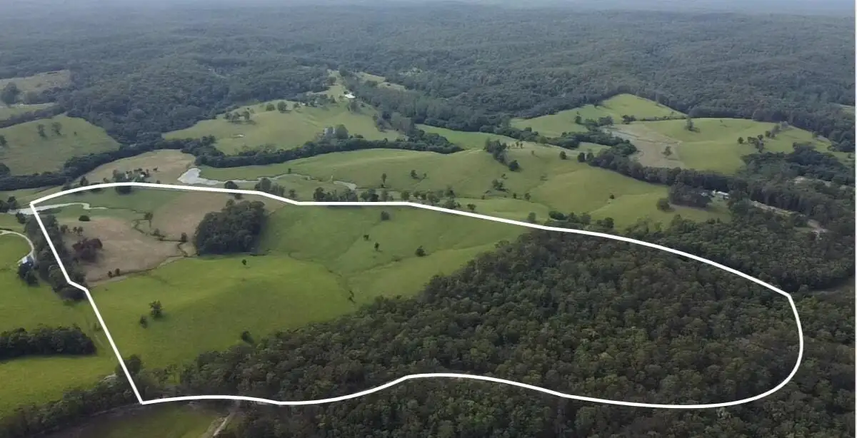 Main view of Homely rural property listing, Lot 1/87 Searles Rd, Tamban NSW 2441