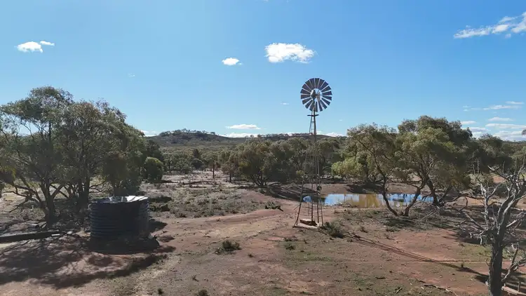 Third view of Homely rural property listing, 'Batis & Rawlins' Barrier Highway, Nackara SA 5440