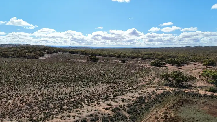Fifth view of Homely rural property listing, 'Batis & Rawlins' Barrier Highway, Nackara SA 5440