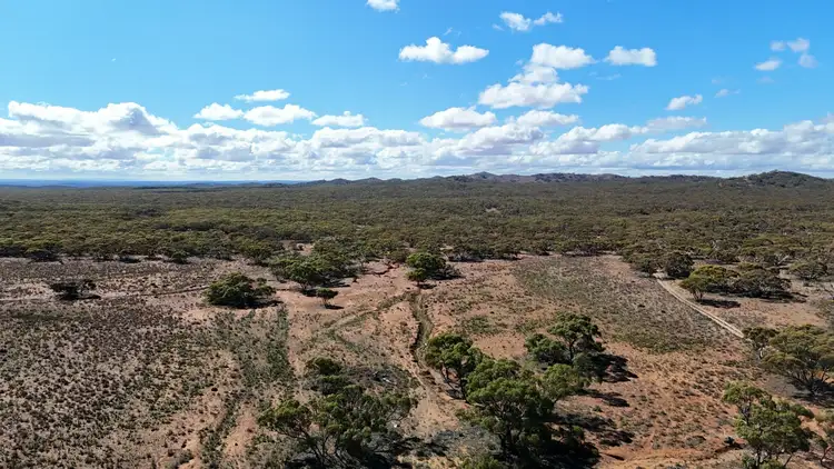 Seventh view of Homely rural property listing, 'Batis & Rawlins' Barrier Highway, Nackara SA 5440