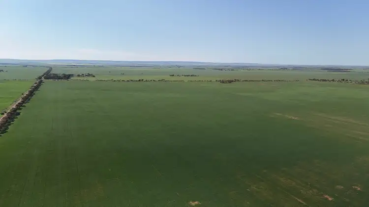 Third view of Homely rural property listing, 'Jansen's' Sec 414 Wirreanda Rd, Condowie SA 5464