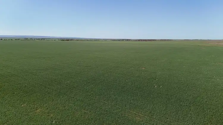 Fourth view of Homely rural property listing, 'Jansen's' Sec 414 Wirreanda Rd, Condowie SA 5464