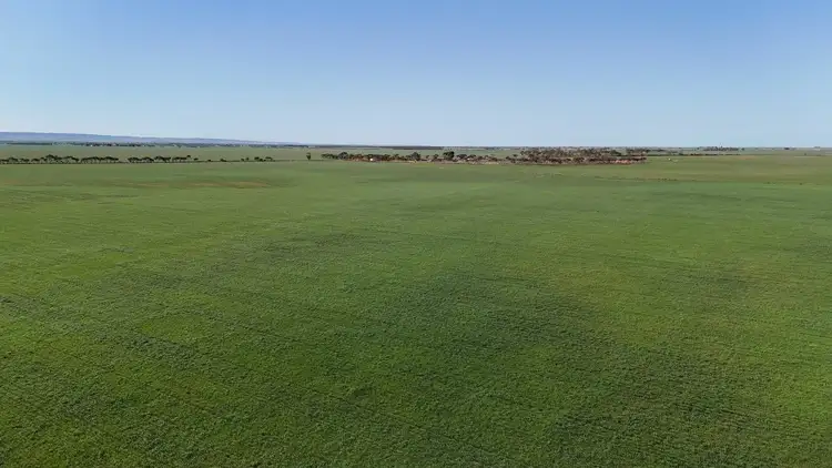 Fifth view of Homely rural property listing, 'Jansen's' Sec 414 Wirreanda Rd, Condowie SA 5464