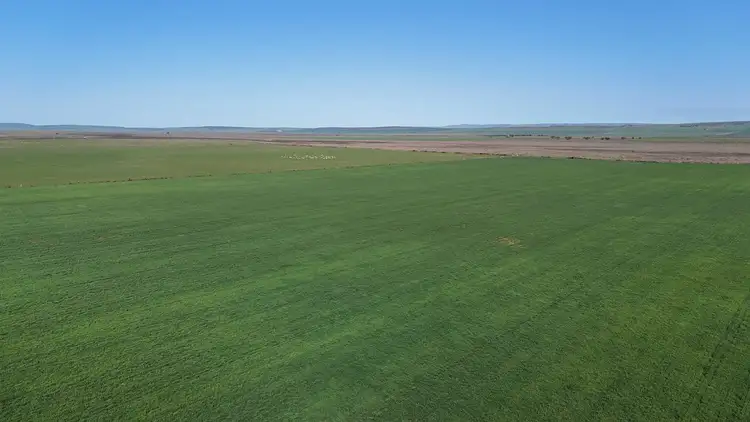Sixth view of Homely rural property listing, 'Jansen's' Sec 414 Wirreanda Rd, Condowie SA 5464
