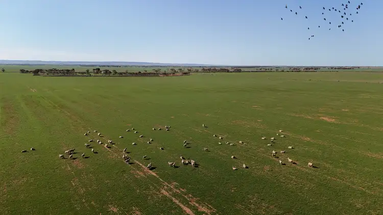 Seventh view of Homely rural property listing, 'Jansen's' Sec 414 Wirreanda Rd, Condowie SA 5464