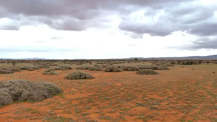 Main view of Homely rural property listing, 'Acacia Ridge' 511 Tapscott Rd, Orroroo SA 5431