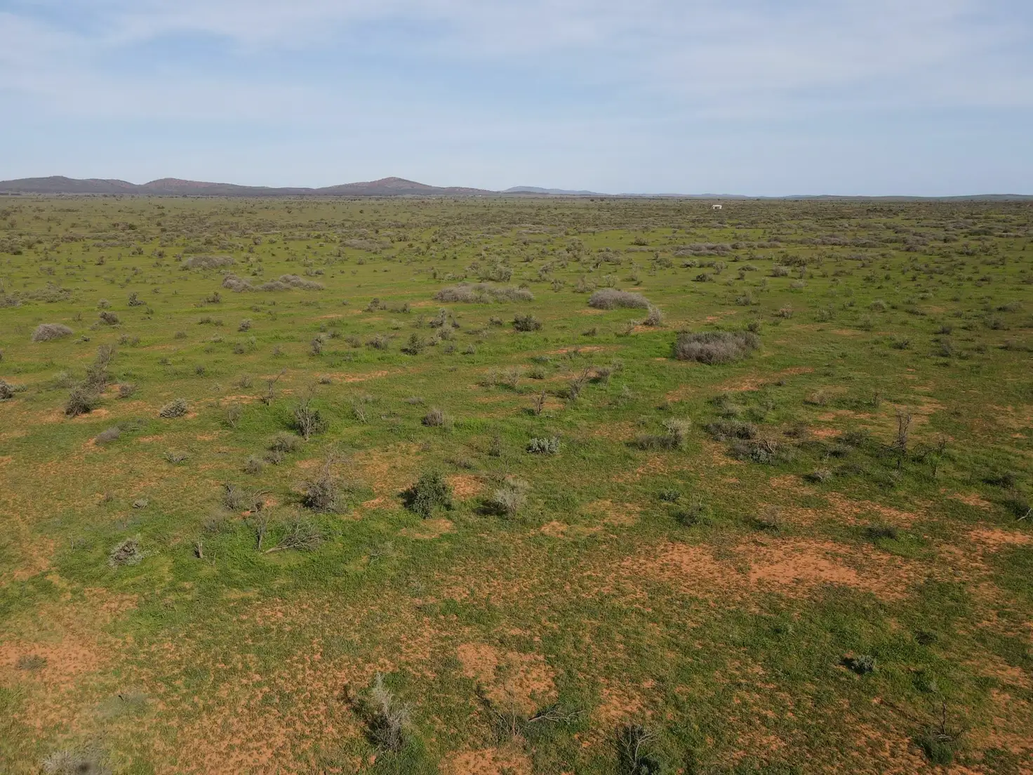 Main view of Homely rural property listing, 'Acacia Ridge' 511 Tapscott Rd, Orroroo SA 5431