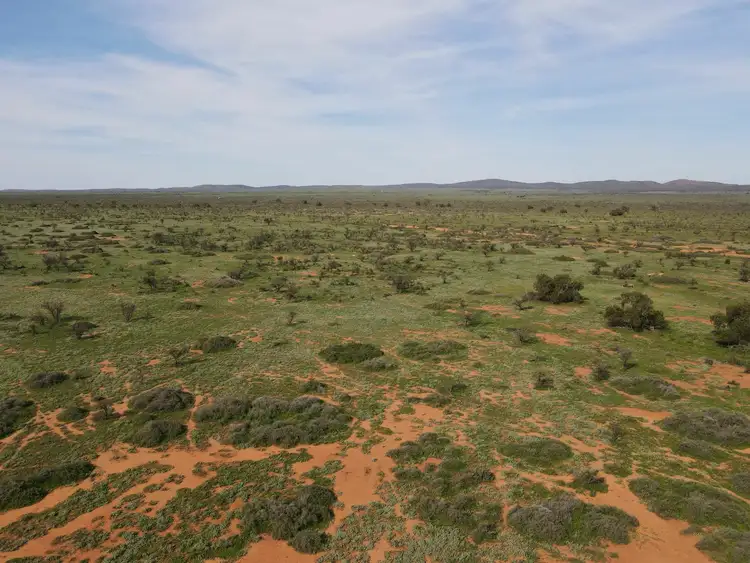 Second view of Homely rural property listing, 'Acacia Ridge' 511 Tapscott Rd, Orroroo SA 5431