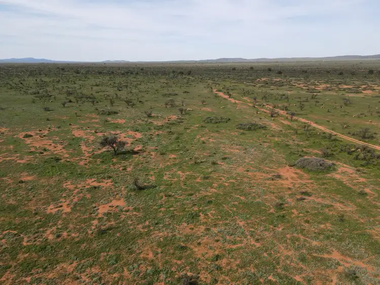 Third view of Homely rural property listing, 'Acacia Ridge' 511 Tapscott Rd, Orroroo SA 5431