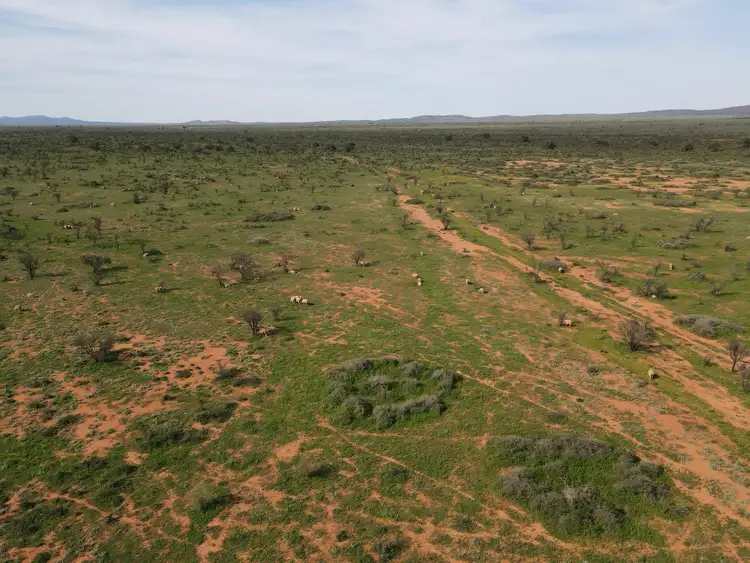 Fourth view of Homely rural property listing, 'Acacia Ridge' 511 Tapscott Rd, Orroroo SA 5431