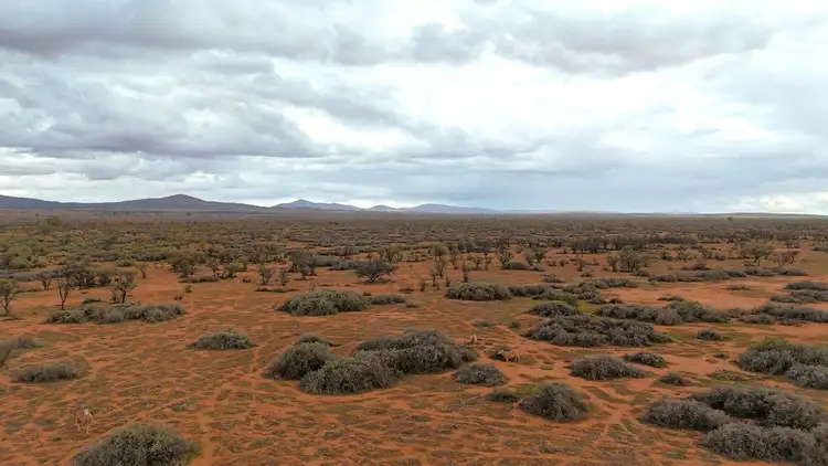 Fourth view of Homely rural property listing, 'Acacia Ridge' 511 Tapscott Rd, Orroroo SA 5431