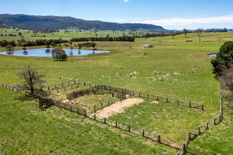 Third view of Homely rural property listing, 1275 Glen Alice Rd, Rylstone NSW 2849