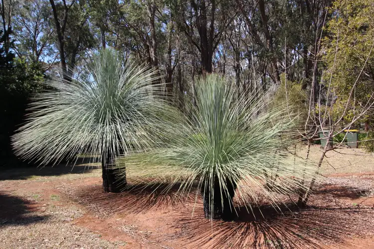 Second view of Homely rural property listing, 15174 Guyra Rd, Gilgai NSW 2360