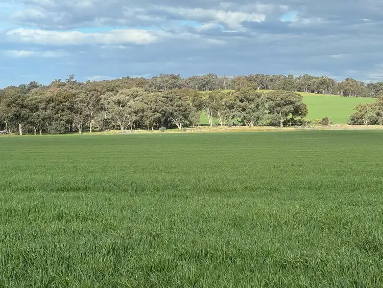'Blossom Farm' Klemkes Road, Henty NSW 2658