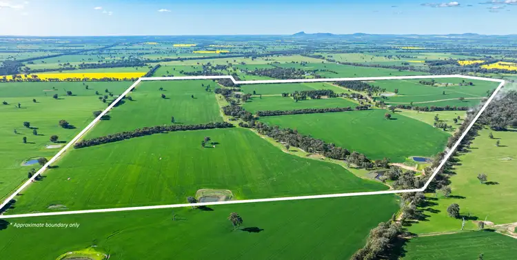 'Blossom Farm' Klemkes Road, Henty NSW 2658
