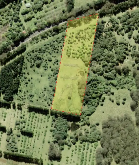 Main view of Homely rural property listing, 4101 Braidwood Road, Sassafras NSW 2622