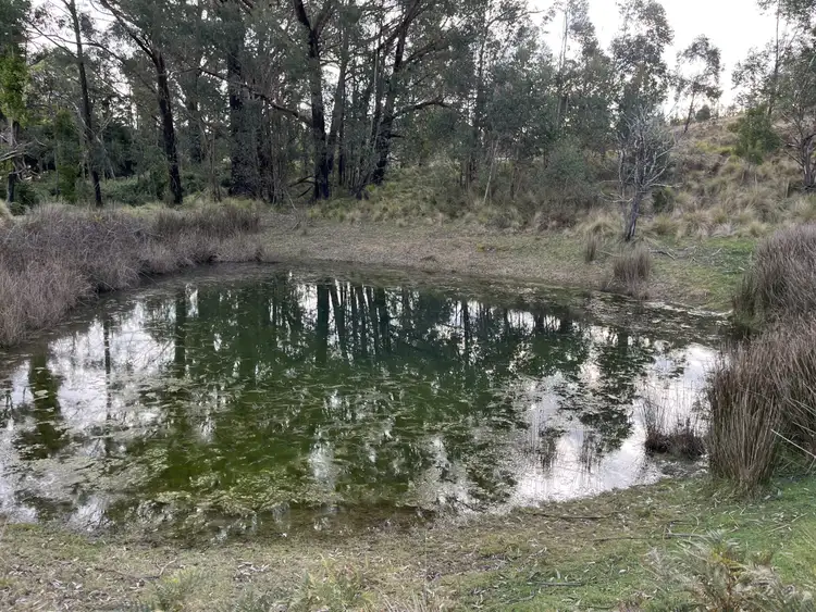 Third view of Homely rural property listing, 4101 Braidwood Road, Sassafras NSW 2622