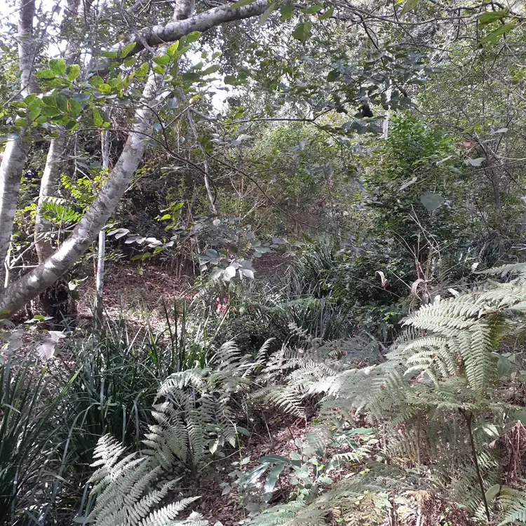 Seventh view of Homely land listing, 114 Flaxton Mill Road, Flaxton QLD 4560