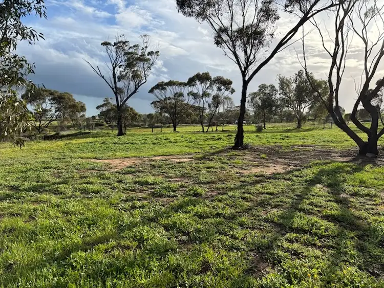 Second view of Homely land listing, 20 Hennessy, Goomalling WA 6460